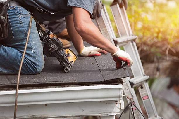 Best Roof Gutter Cleaning  in Needville, TX